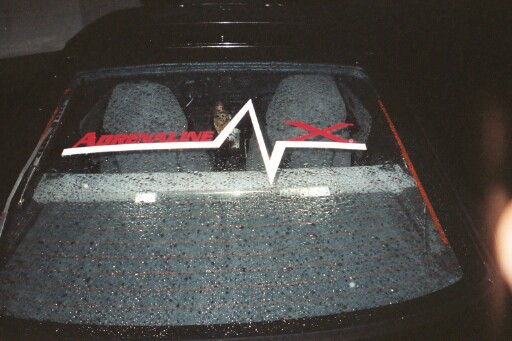 myrearlogo.jpg